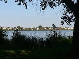 Rezerwat przyrody Stawy Raszyńskie